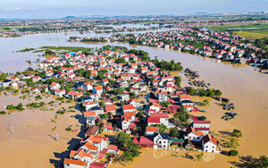 Đỉnh lũ 2025 vượt báo động: Tây Ninh chủ động phương án giữ lúa, giữ dân - Ảnh 6.