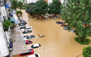 Cạn tình đến thế là cùng - Ảnh 3.