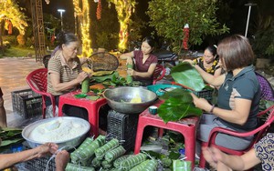Bắt được cá sấu nghi tấn công người trên sông - Ảnh 2.