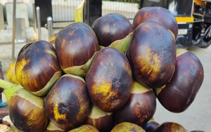 Cây dại mọc đầy ở Việt Nam, sang "trời Tây" bán hơn nửa triệu/kg - Ảnh 4.