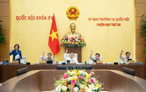 VCCI kiến nghị bỏ bớt một số điều kiện kinh doanh xuất khẩu gạo - Ảnh 3.