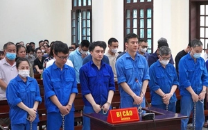 Khởi tố 3 lãnh đạo Công ty Cổ phần Hải Vân Long về hành vi trốn thuế- Ảnh 4.