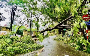 VCCI kiến nghị bỏ bớt một số điều kiện kinh doanh xuất khẩu gạo - Ảnh 2.
