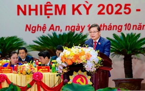 Trưởng ban Nội chính Trung ương: Nghệ An đứng trước “thời cơ lịch sử” để vươn lên bứt phá- Ảnh 3.