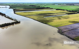 Tây Ninh khi lũ tràn đồng, tình quân dân lại dâng cao hơn con nước- Ảnh 10. Tây Ninh khi lũ tràn đồng, tình quân dân lại dâng cao hơn con nước- Ảnh 10.