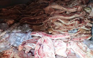 Bắt giữ đối tượng ngoại quốc lừa đảo trực tuyến - Ảnh 3.