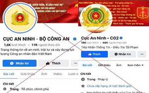 Khởi tố giám đốc một công ty dược- Ảnh 2.