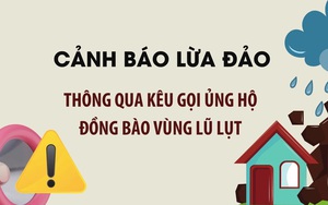 Bắt đối tượng gây ra nhiều vụ phá két sắt trộm tiền, vàng- Ảnh 3.