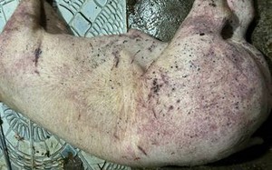 Bắt đối tượng gây ra nhiều vụ phá két sắt trộm tiền, vàng- Ảnh 2.