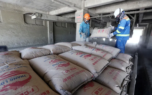 Cục Xuất nhập khẩu khuyến cáo doanh nghiệp cập nhật quy định mới của Trung Quốc về xuất khẩu thực phẩm - Ảnh 2.