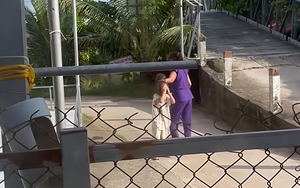 Hà Nội nêu lý do không đấu giá 3 mỏ cát- Ảnh 2. Hà Nội nêu lý do không đấu giá 3 mỏ cát- Ảnh 2.