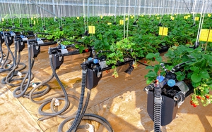 L&acirc;m Đồng "đ&aacute;nh thức" gần 30ha đất ngập nước, t&aacute;i sinh "l&aacute; phổi xanh" giữa đ&ocirc; thị- Ảnh 12.