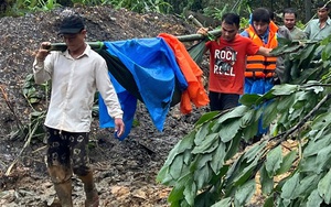 Video: Người dân Lâm Đồng lội nước để mưu sinh trong những ngày mưa, lũ- Ảnh 1.