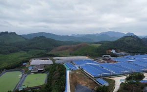 Dừng hoạt động trại lợn gây ô nhiễm ở Thanh Hoá từ năm 2026 - Ảnh 3.