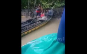 Cá sấu xuất hiện ở khu dân cư, chủ nuôi phải chịu trách nhiệm pháp lý- Ảnh 7.