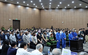 Bóc trần doanh thu khủng của “Gia đình Hải Sen”: Kiếm hơn 100 tỷ, khai báo "nhỏ giọt" 15 tỷ đồng - Ảnh 5.