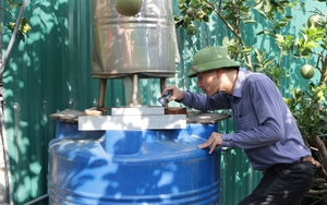 Nguy cơ cao biến chứng nặng do sốt xuất huyết, người dân cần cảnh giác- Ảnh 5.