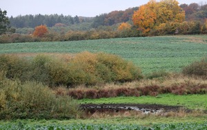 Chủ xe hé lộ diễn biến trước khi phát hiện thi thể cô gái trong cốp ô tô - Ảnh 5.