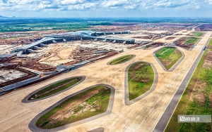 Trình Chính phủ ban hành Nghị quyết cắt giảm gần 800 thủ tục hành chính - Ảnh 4.