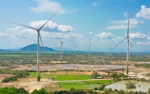 Cục An toàn thực phẩm yêu cầu Shopee gỡ ngay thực phẩm giảm cân không phép - Ảnh 1.