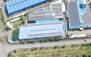 Thu hồi và tiêu hủy lô kem bôi da Thuần Mộc không đạt chất lượng- Ảnh 3.