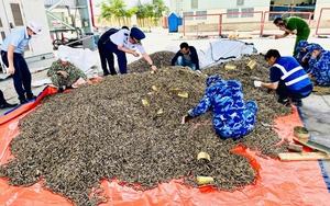 Khởi tố một giám đốc công ty trốn thuế- Ảnh 3.