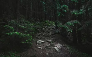 Phát hiện con chim có vẻ ngoài "gần như thời tiền sử" trên sông - Ảnh 3.