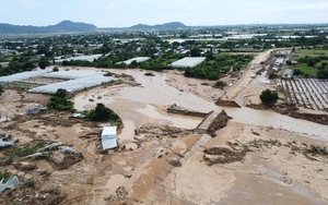 Bắt tạm giam Giám đốc Công ty Tây Đô- Ảnh 3.