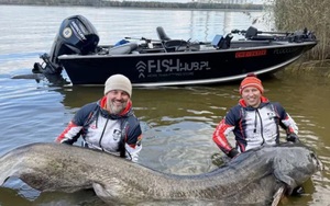 Phát hiện con chim có vẻ ngoài "gần như thời tiền sử" trên sông - Ảnh 2.