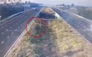 Nhiều vướng mắc mặt bằng cản tiến độ trạm dừng nghỉ cao tốc Vĩnh Hảo – Phan Thiết  - Ảnh 6.