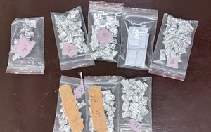 Bắt người phụ nữ nhận làm hồ sơ chuyển nhượng rồi chiếm đoạt hàng loạt lô đất- Ảnh 1.