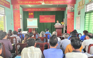 Công bố thành lập Chi hội Luật gia Trường Đại học Hải Phòng- Ảnh 3.