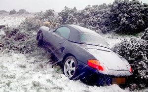 Xỏ chân vào giày, người phụ nữ kinh hãi phát hiện thứ đáng sợ bên trong - Ảnh 2.