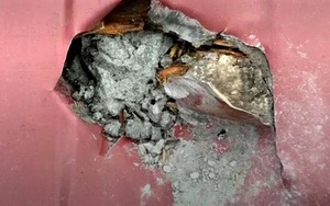 Nhìn xuống nước du khách bất ngờ bắt gặp cảnh tượng kinh ngạc - Ảnh 3.