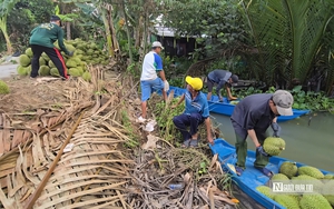 Chuyện lạ Đồng Tháp: Cá kéo về “xin ăn”, người dân nuôi như… thú cưng- Ảnh 4.