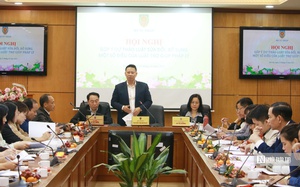 Hơn 44.000 trẻ em được nhận nuôi sau 15 năm, cần giám sát với trẻ được nhận nuôi - Ảnh 5.