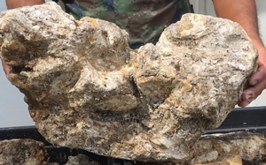 Hằng trăm người đổ về nơi đặc biệt này bắt cá "khủng" 30 kg- Ảnh 7.