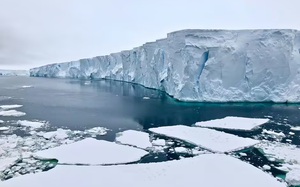 Cậu bé 5 tuổi bật khóc vì món quà Giáng sinh sớm đặc biệt - Ảnh 3.