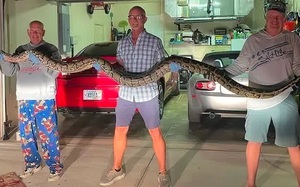 Phát hiện bất ngờ trong bệnh viện bỏ hoang - Ảnh 6.