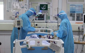 700 chuyên gia y tế tham gia Hội nghị khoa học toàn quốc về Sốt xuất huyết Dengue 2025- Ảnh 6.