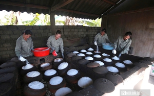 Tá hỏa khi phát hiện rắn hổ mang chúa nặng 7 kg trong vườn nhà - Ảnh 2.