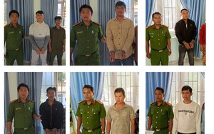 Bắt gã thanh niên lẻn vào đền thờ trộm két sắt lúc rạng sáng- Ảnh 1.