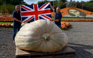 Du khách kinh hãi khi thấy thứ đáng sợ nổi lên từ dưới nước- Ảnh 3.