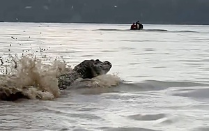 Phát hiện chấn động trong công viên biển bỏ hoang ở Pháp - Ảnh 3.