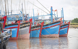 Lâm Đồng căng mình trước bão số 15: Cấm biển, xử lý sạt lở và thiệt hại nuôi trồng thủy sản  - Ảnh 11.
