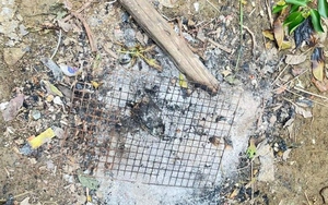 Ăn bánh mì, 40 người bị ngộ độc nhập viện - Ảnh 3.