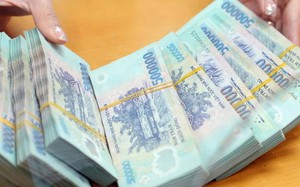 Dàn cảnh bỏ rơi trẻ em để hợp thức hóa việc nhận con nuôi - Ảnh 3.