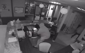 Cá sấu khổng lồ đi lạc khiến nhiều người hoảng hốt - Ảnh 2.