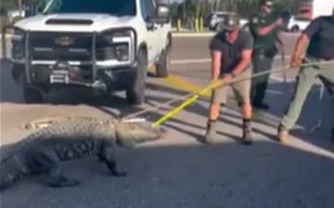 Người đàn ông 87 tuổi tiết lộ có con với vợ 37 tuổi - Ảnh 3.