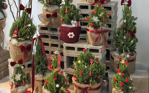 C&acirc;y th&ocirc;ng Noel n&oacute;n l&aacute; cao 35m "g&acirc;y sốt" m&ugrave;a Gi&aacute;ng sinh ở Đồng Nai- Ảnh 14.